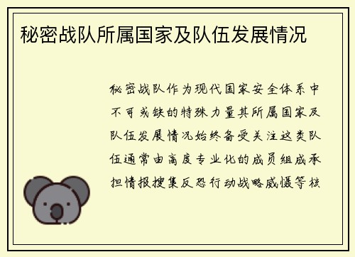 秘密战队所属国家及队伍发展情况