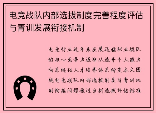 电竞战队内部选拔制度完善程度评估与青训发展衔接机制